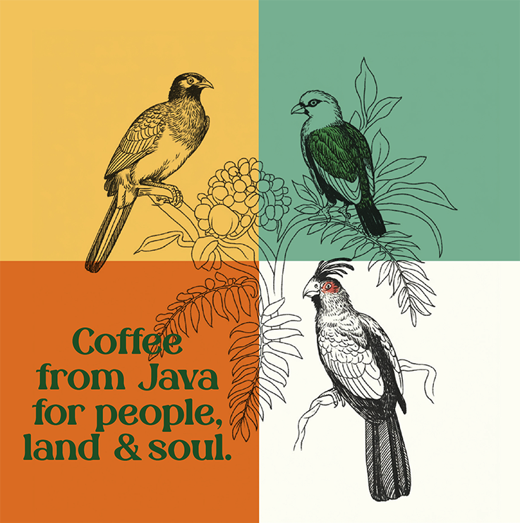 Kopi Kita — vue 3